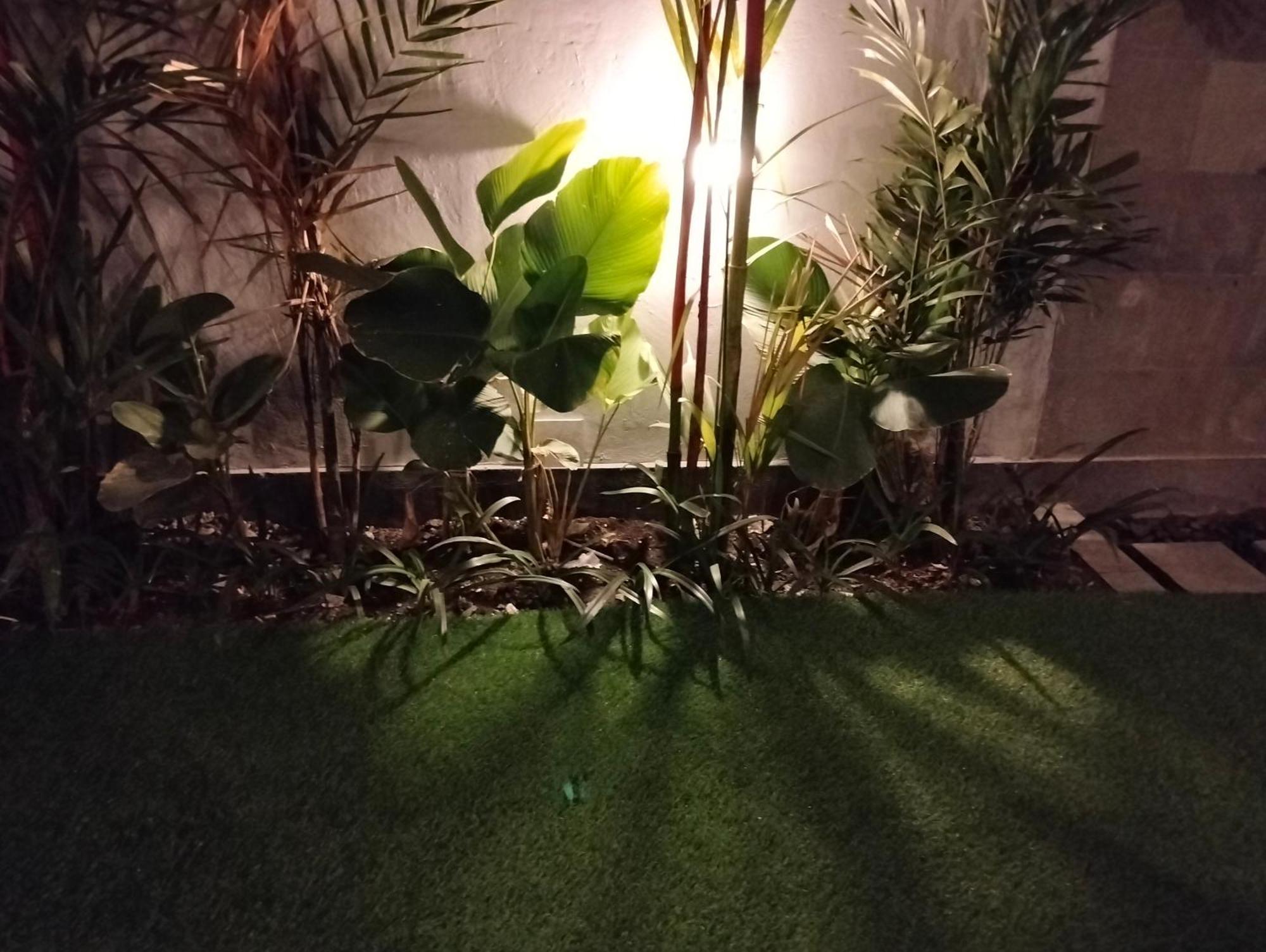 Kutus Bali Guesthouse سانور المظهر الخارجي الصورة